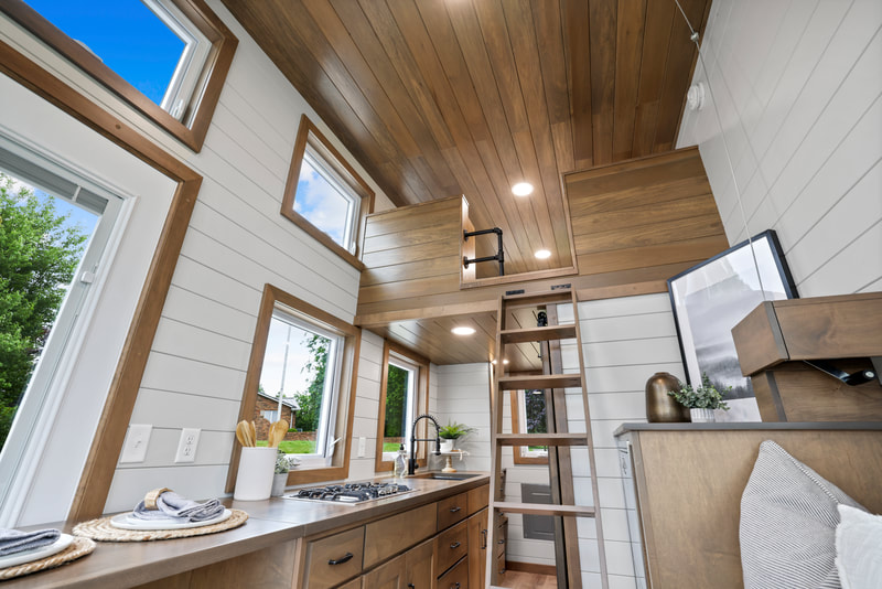 PATHWAY thumbnail 28