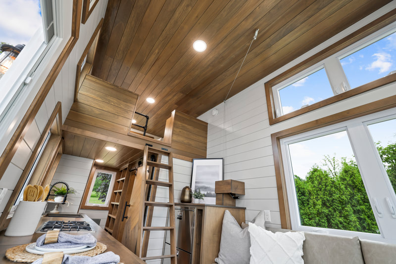 PATHWAY thumbnail 29