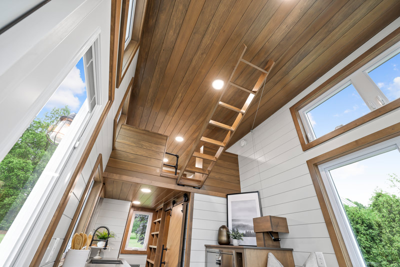 PATHWAY thumbnail 81