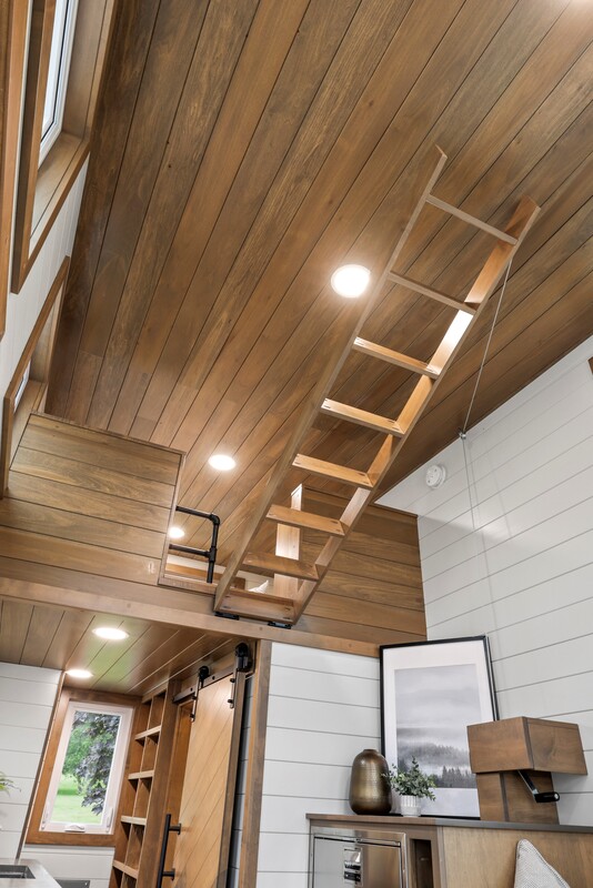 PATHWAY thumbnail 82