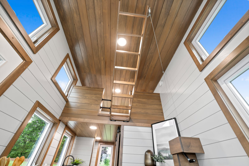 PATHWAY thumbnail 83