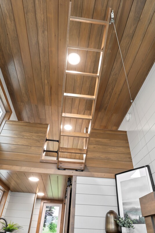 PATHWAY thumbnail 84