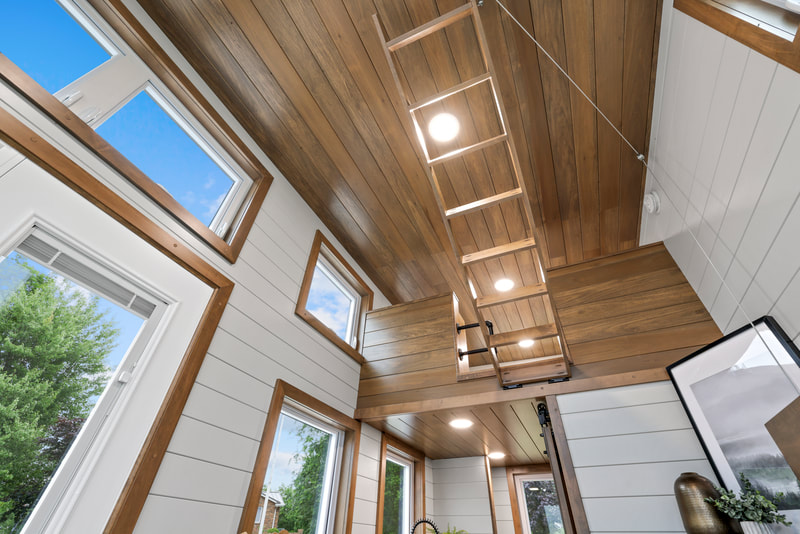 PATHWAY thumbnail 85