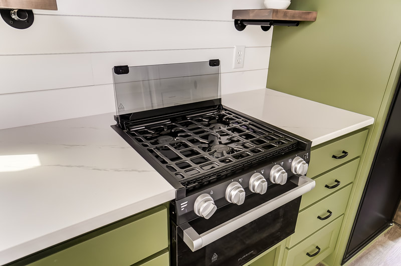 THE BISON thumbnail 12