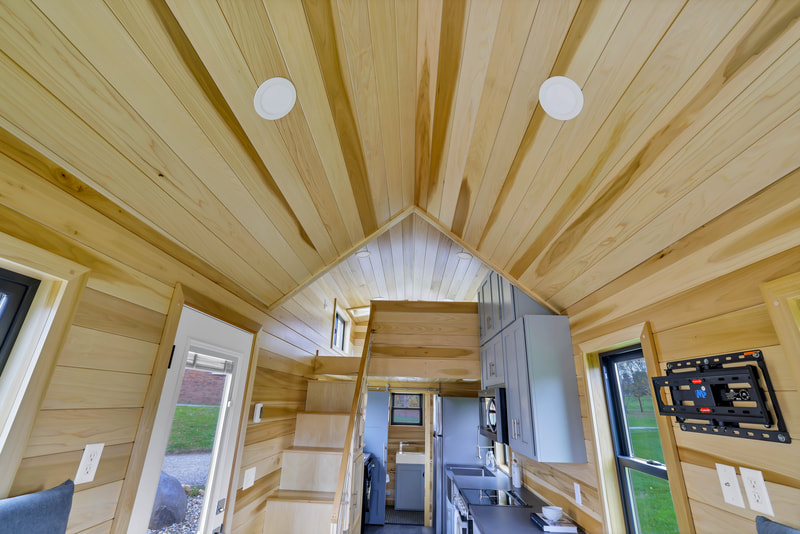 THE BOND thumbnail 8