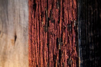 THE GRAND thumbnail 8