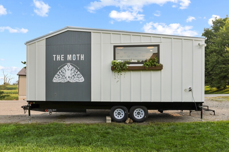 THE MOTH thumbnail 15