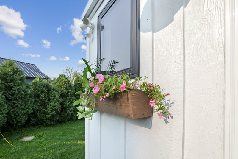 THE MOTH thumbnail 17