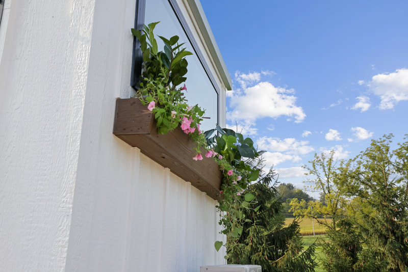 THE MOTH thumbnail 22