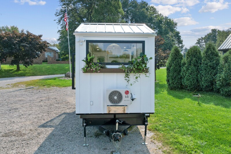 THE MOTH thumbnail 7