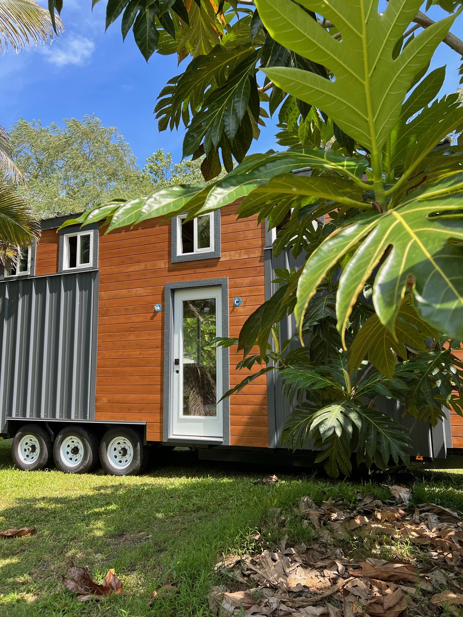 The Ohana thumbnail 46