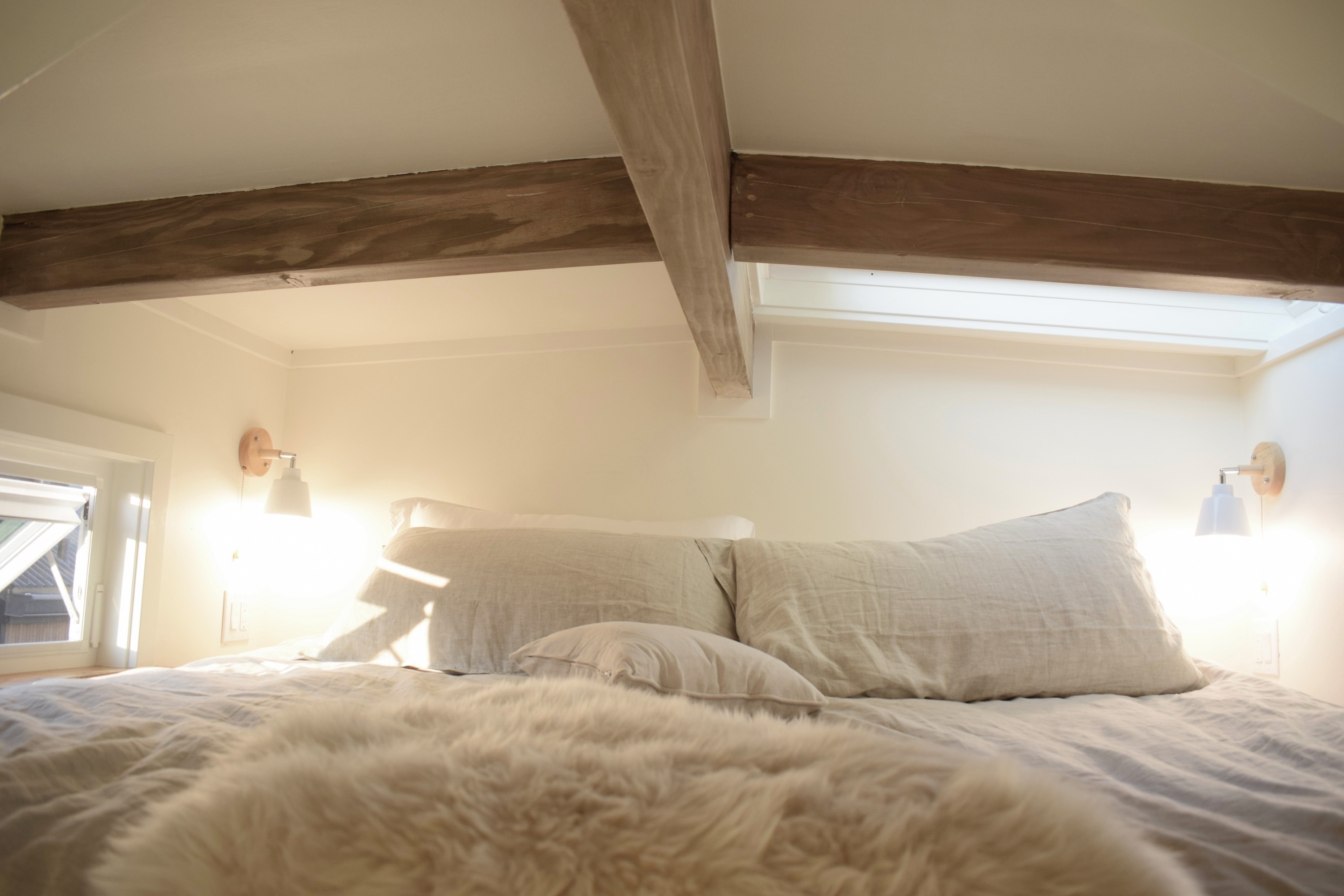 The Paradise thumbnail 21