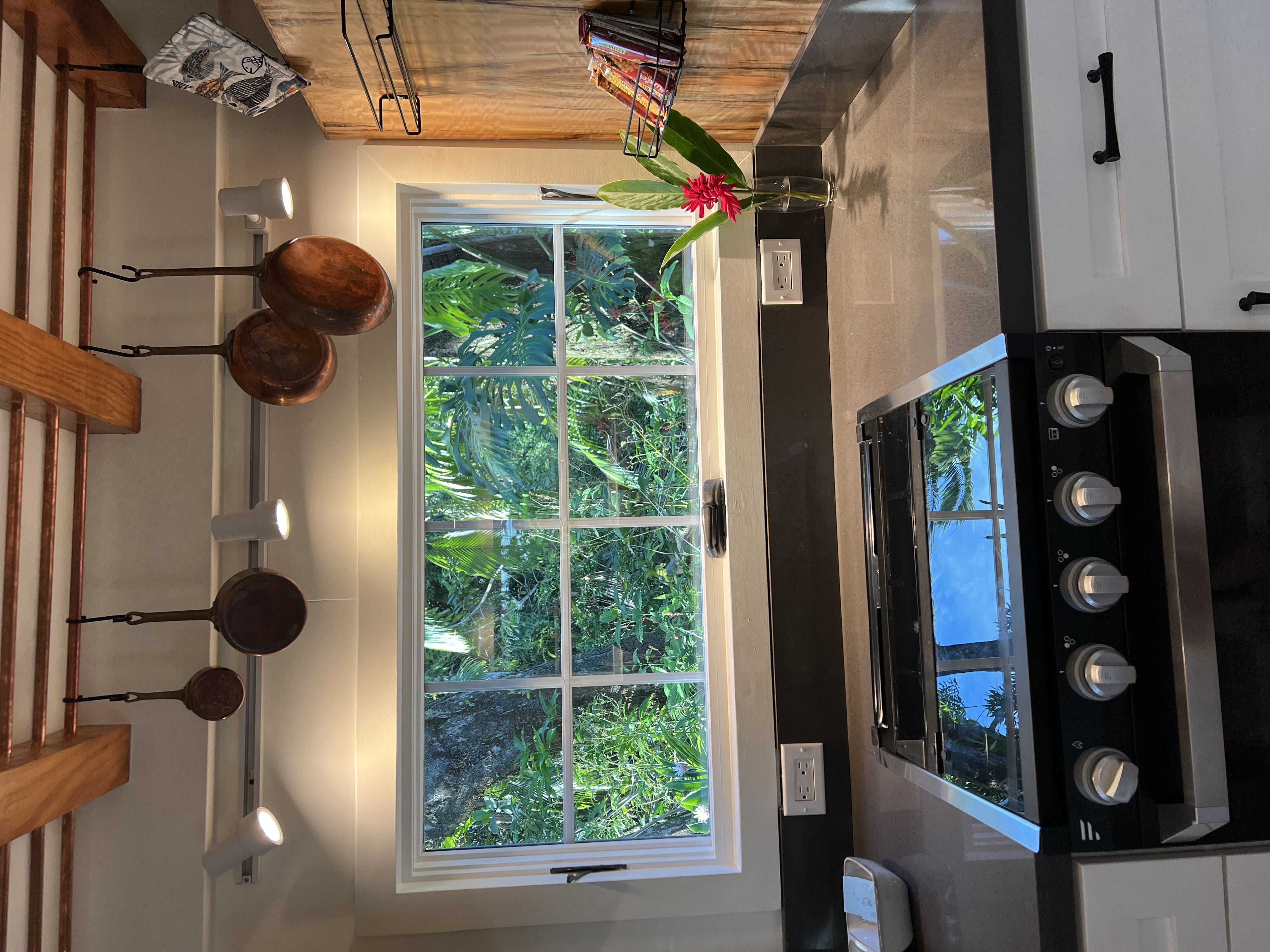 The Paradise thumbnail 6