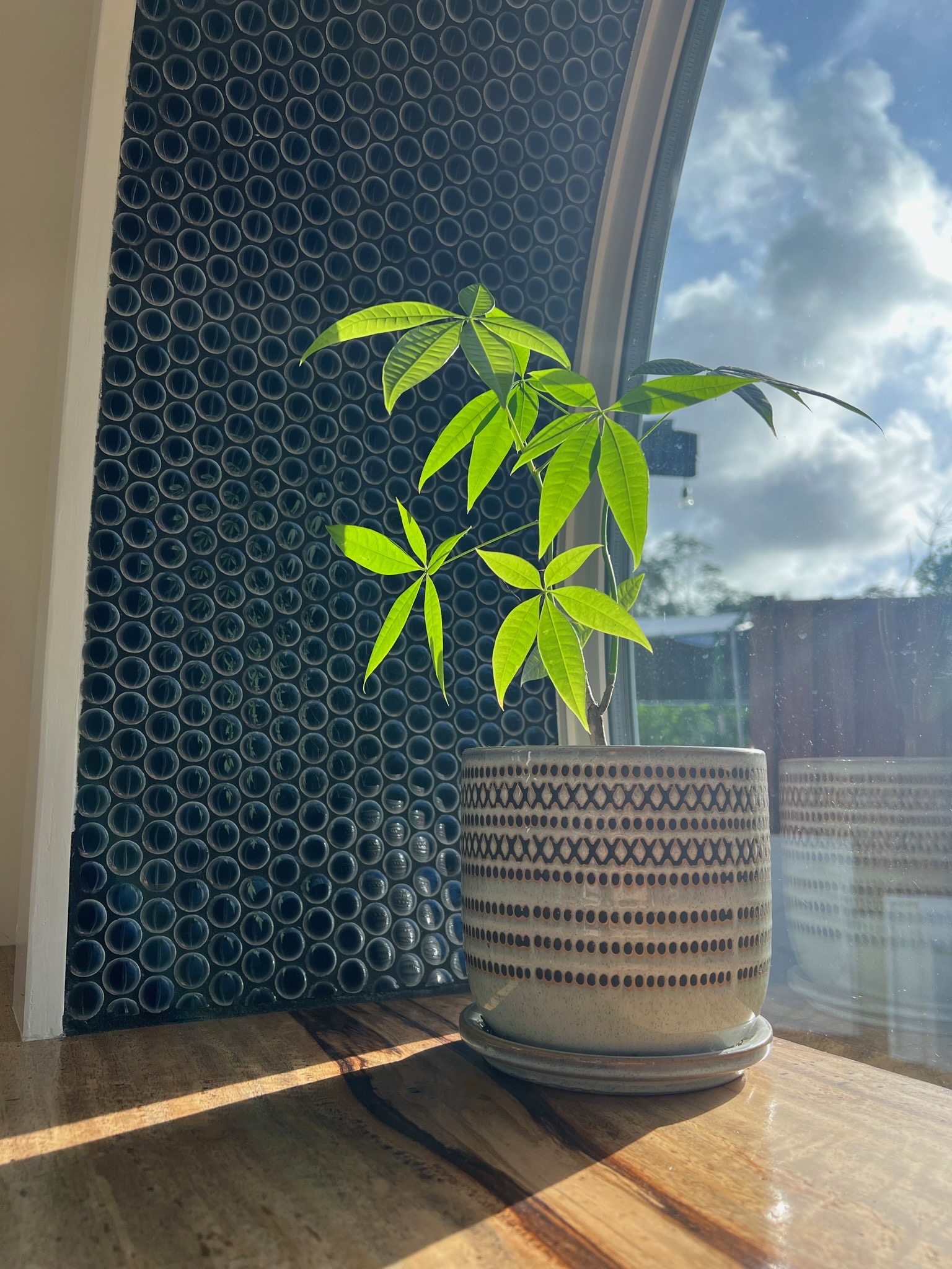 The Queen thumbnail 4