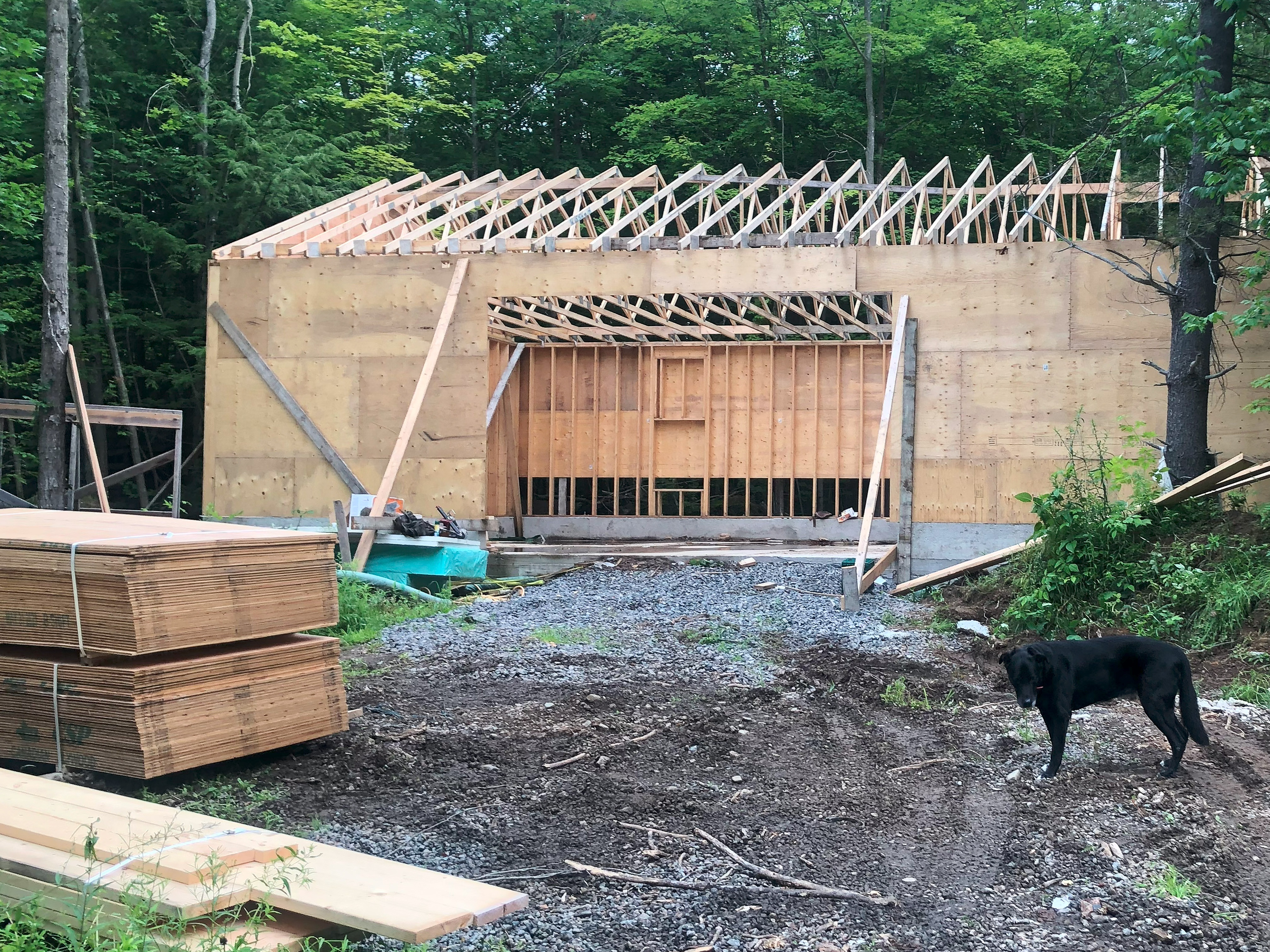 Precision Custom Cottages thumbnail 4