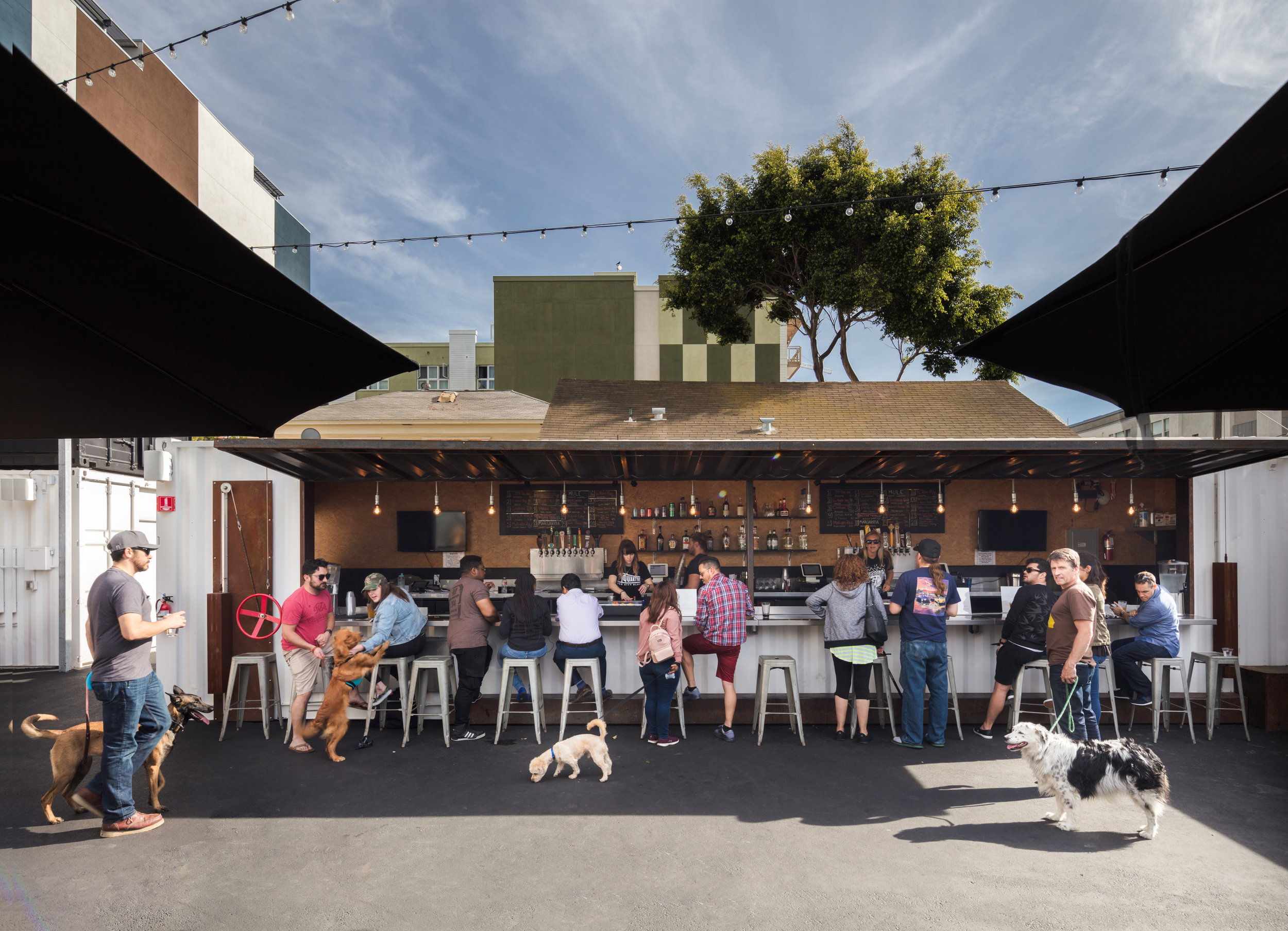 QUARTYARD II thumbnail 7