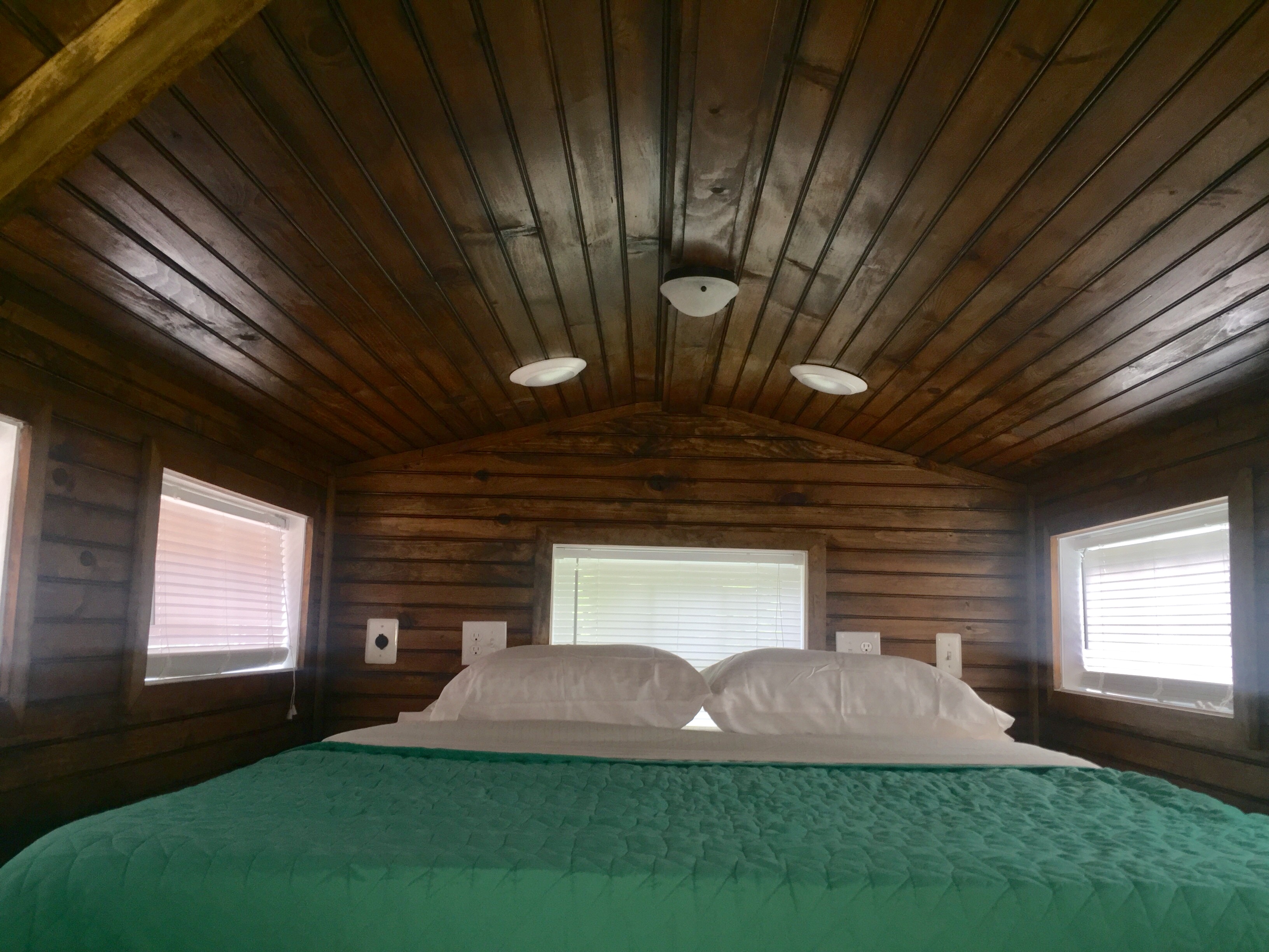 THE PIONEER thumbnail 2