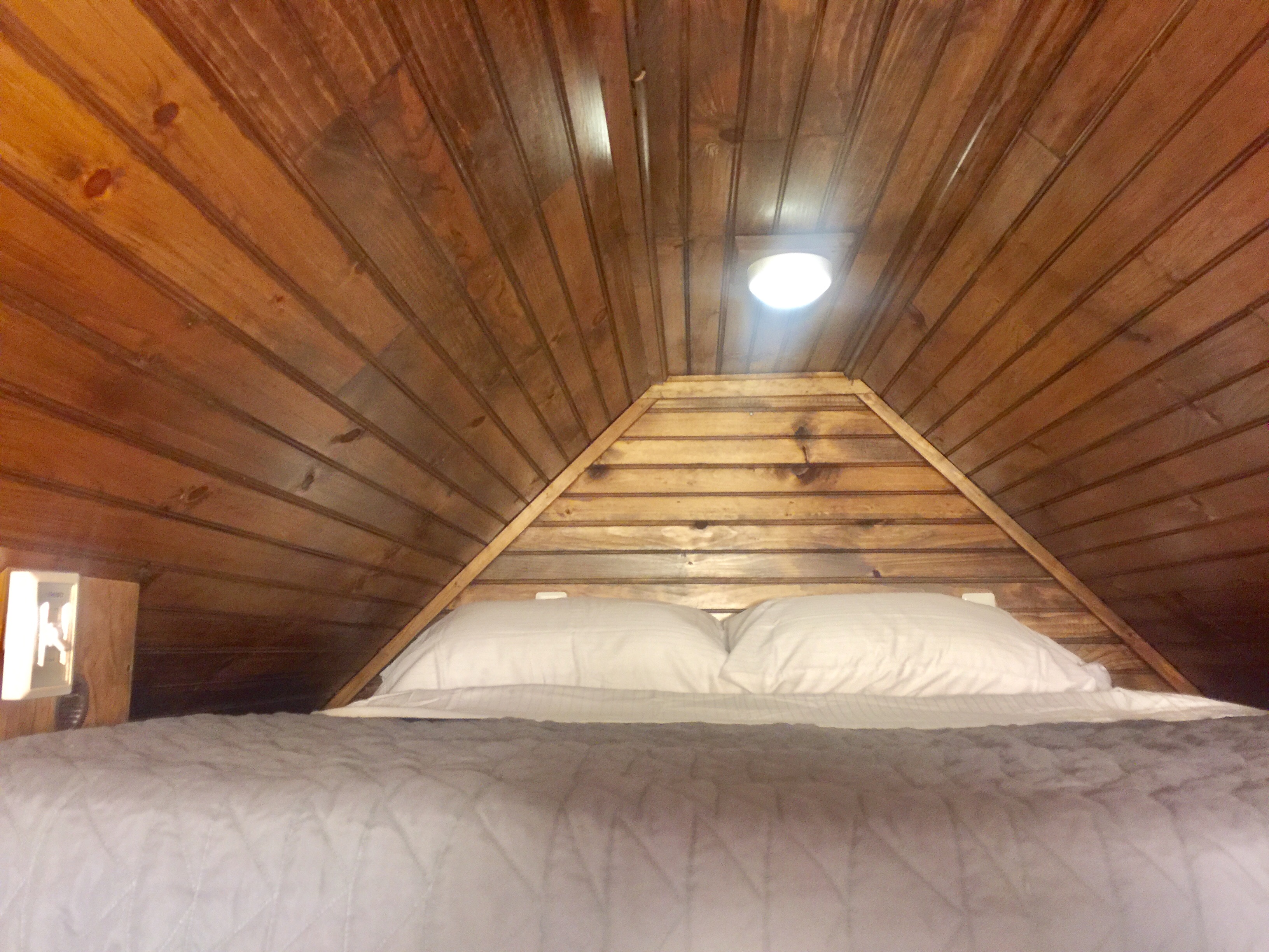 THE PIONEER thumbnail 3