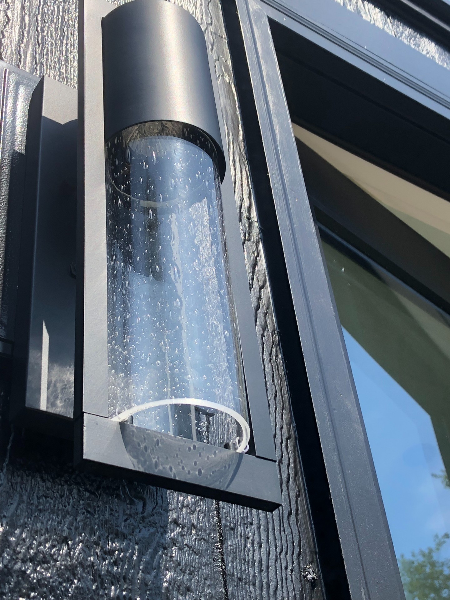 THE RAVEN thumbnail 5