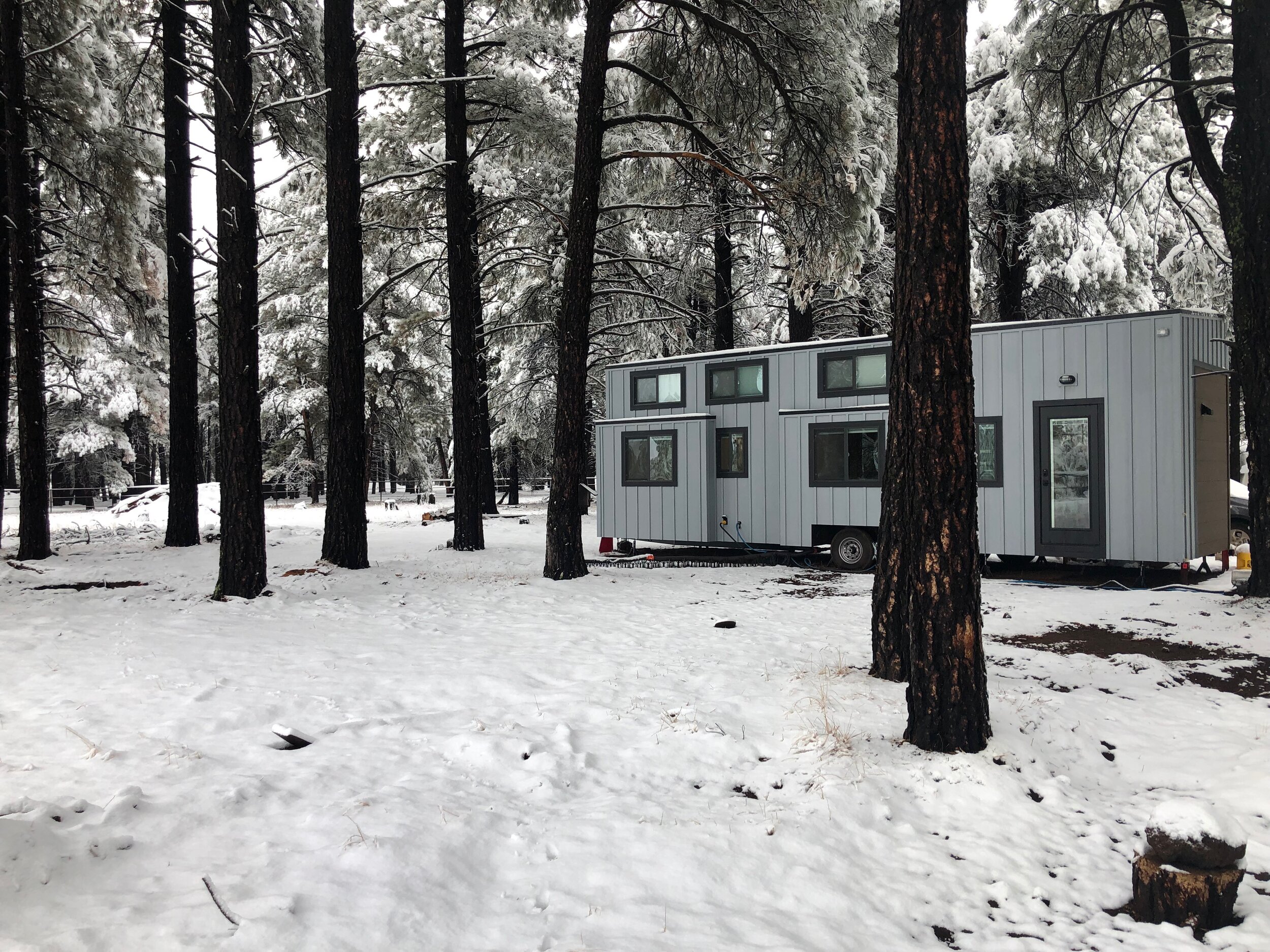 THE MANOR thumbnail 33