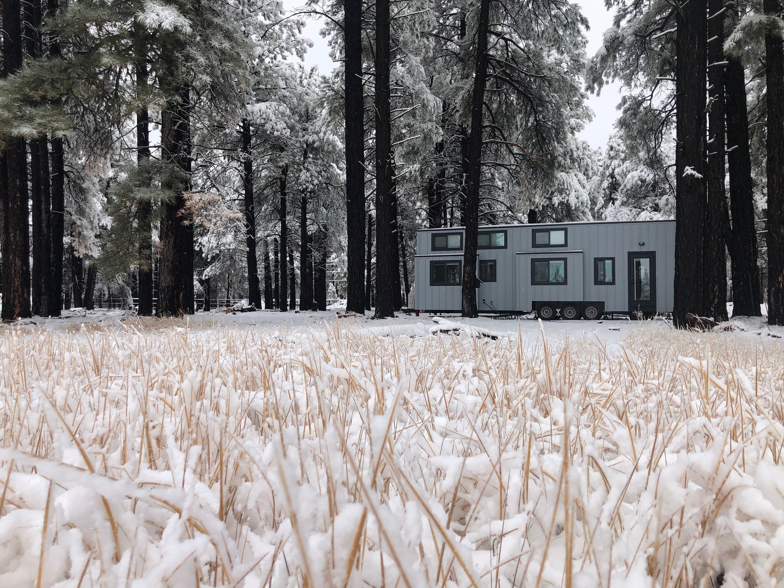 THE MANOR thumbnail 39