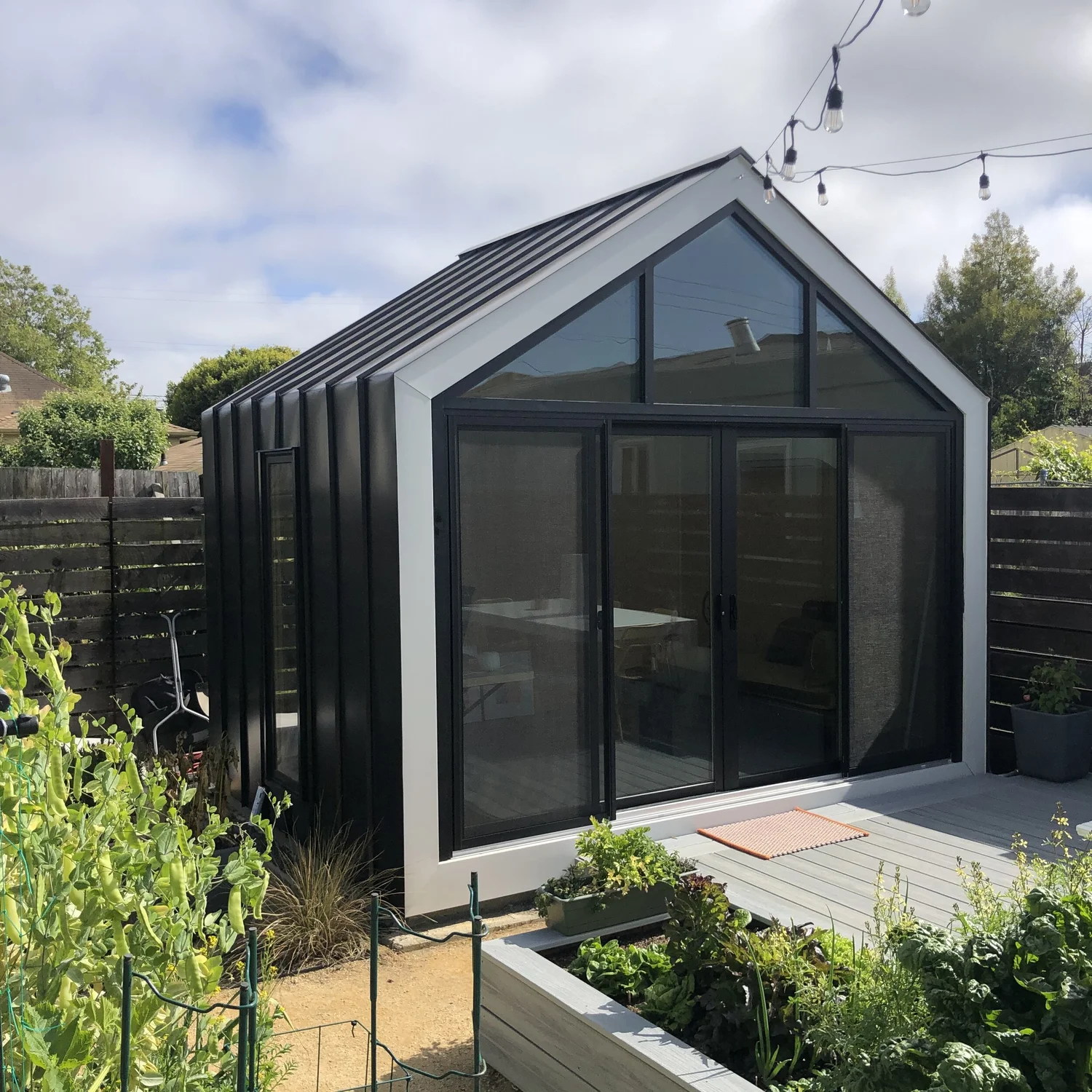 Monarch 106 by Thebunkie